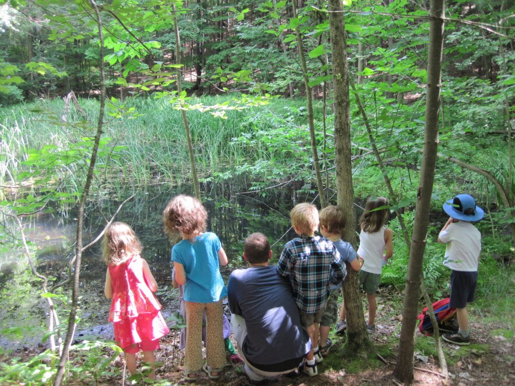 CubCamp frog pond